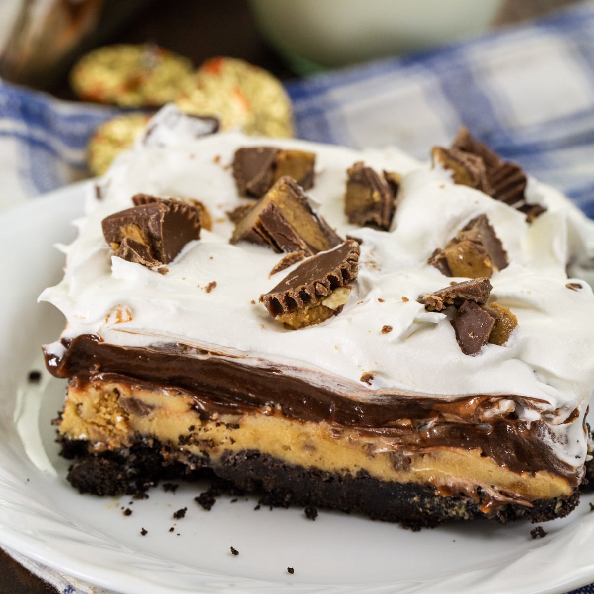 Chocolate Peanut Butter Layer Dessert on a plate.