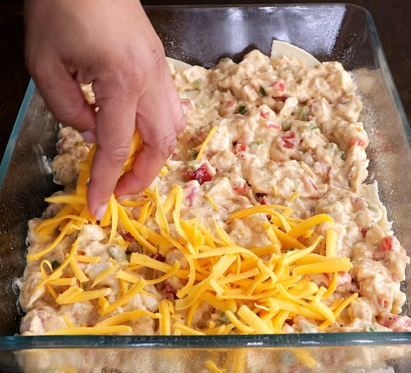 Layer of cheese