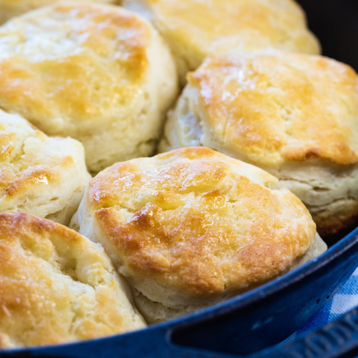 Angel Biscuits in a cast iron pan.