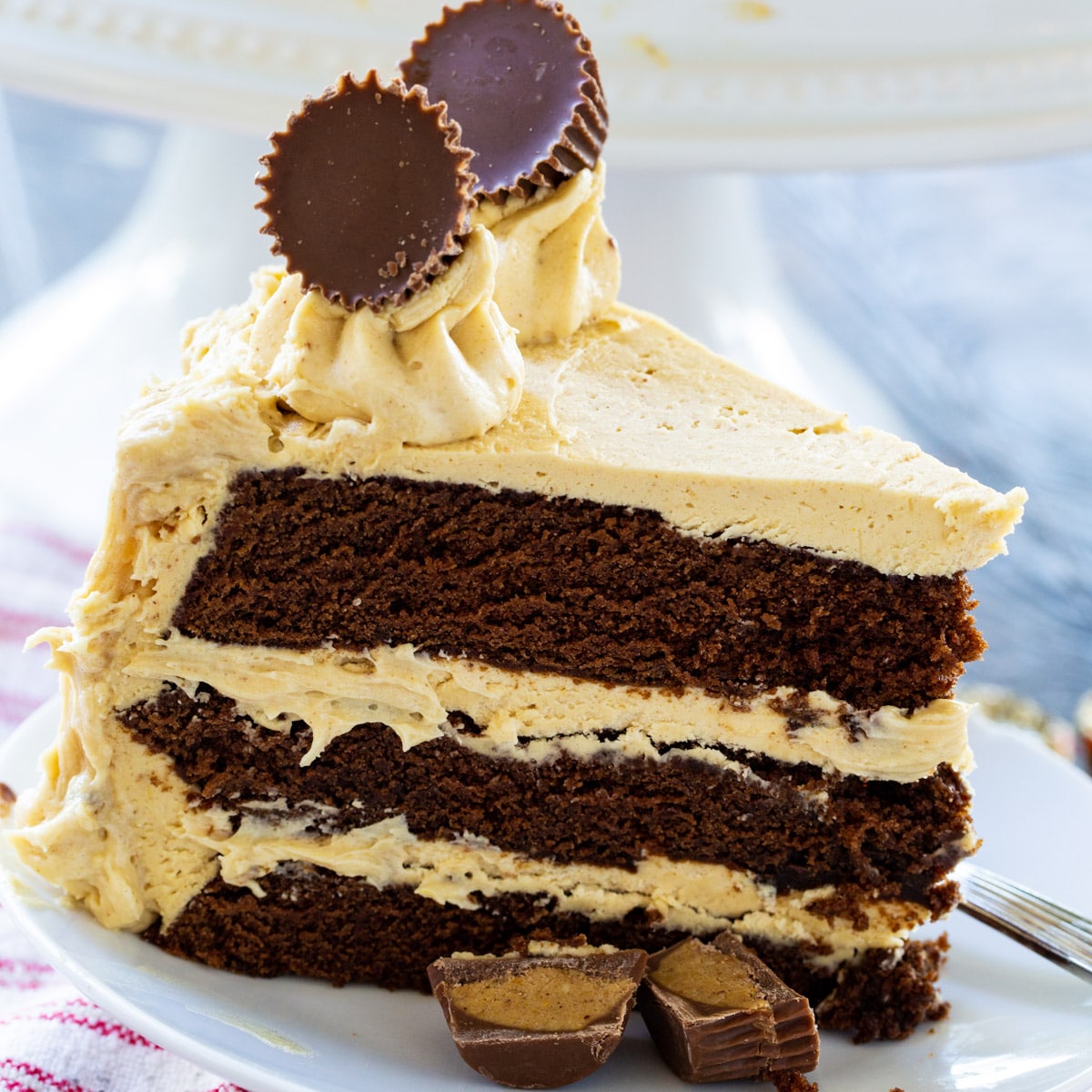 https://spicysouthernkitchen.com/wp-content/uploads/2021/10/Peanut-Butter-Cup-Cake.jpg