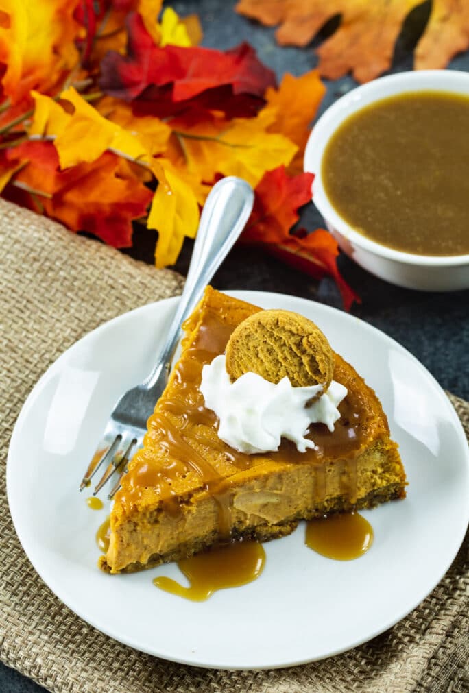 Pumpkin Cheesecake With Gingersnap Crust Spicy Southern Kitchen