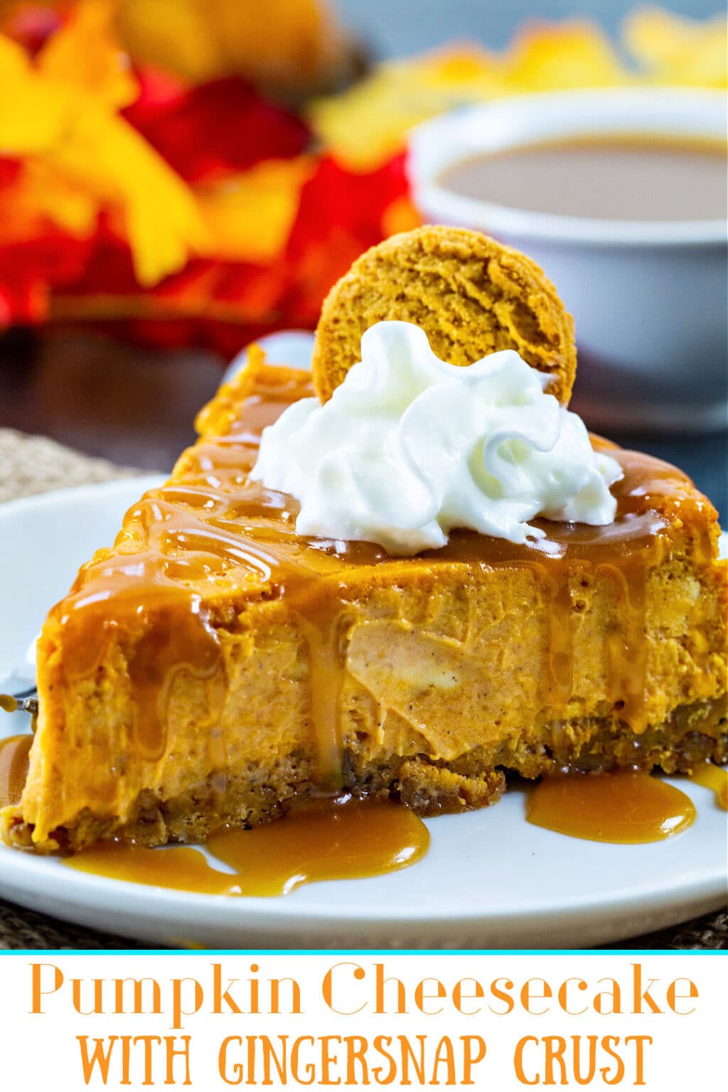 pumpkin-cheesecake-with-gingersnap-crust-spicy-southern-kitchen