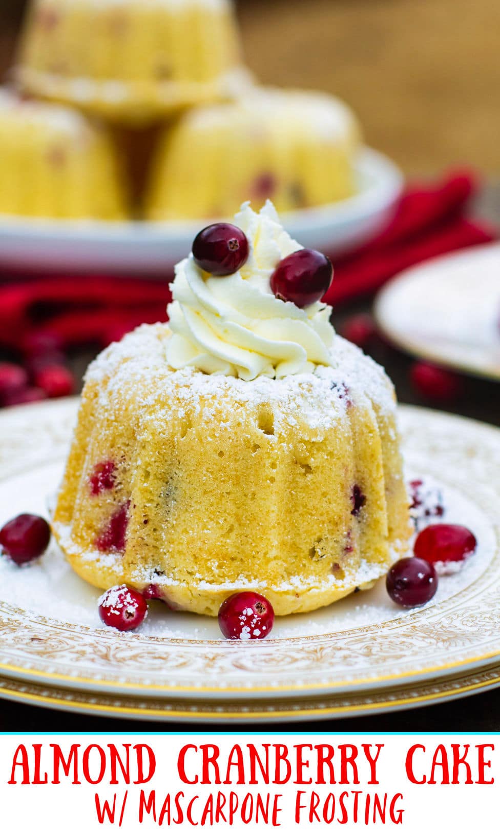 Mini Bundt Cake decorated with fresh cranberries.