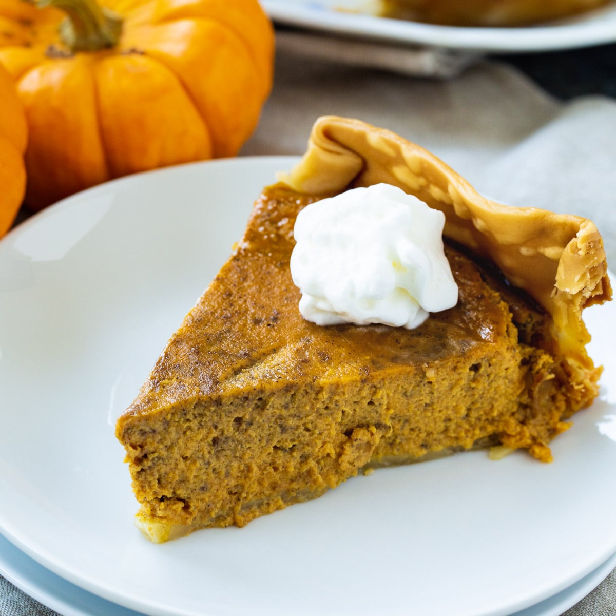 Slice of Crock Pot Pumpkin Pie topped with whipped cream.