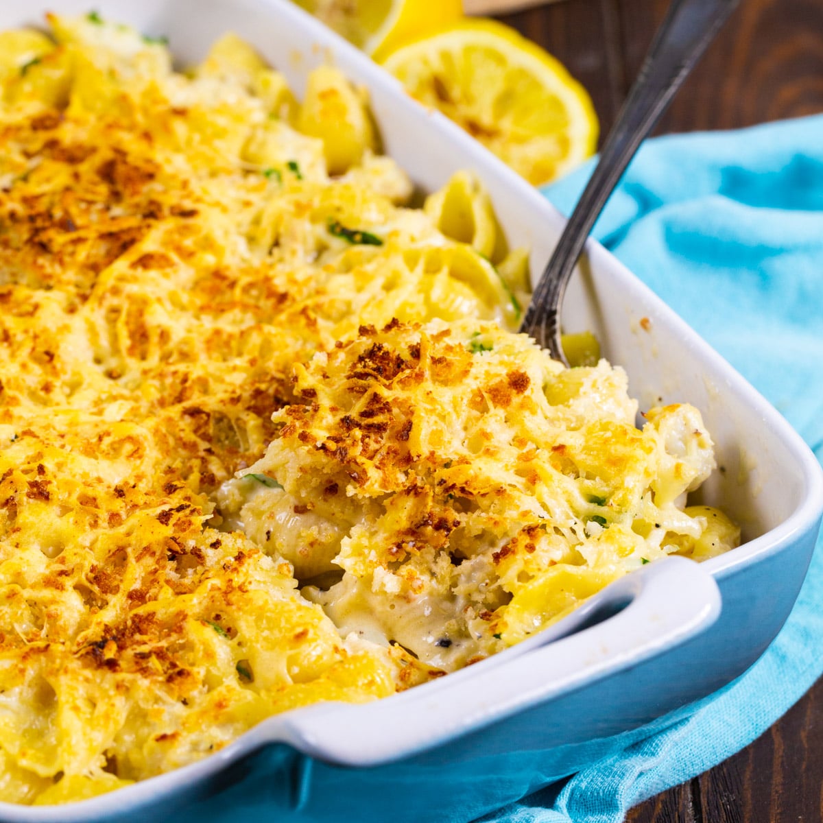 Crab Alfredo Shells in baking dish.