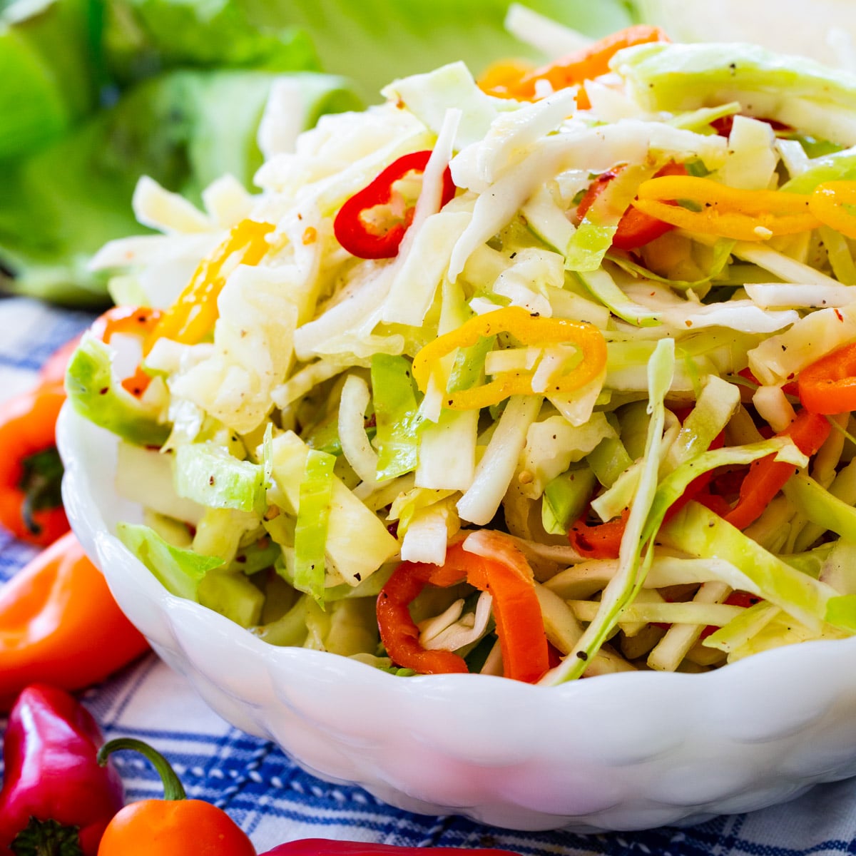 Marinated Cabbage and Sweet Pepper Slaw in a bowl.
