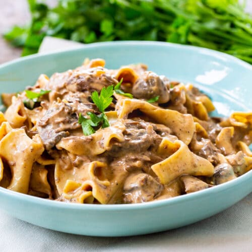 Slow Cooker Beef Stroganoff - Spicy Southern Kitchen