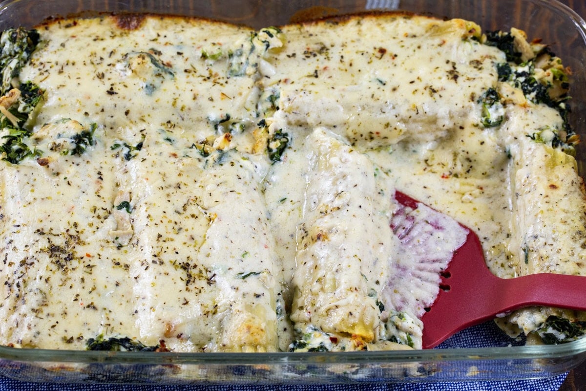 Cooked Manicotti in 9x13-inch baking dish.