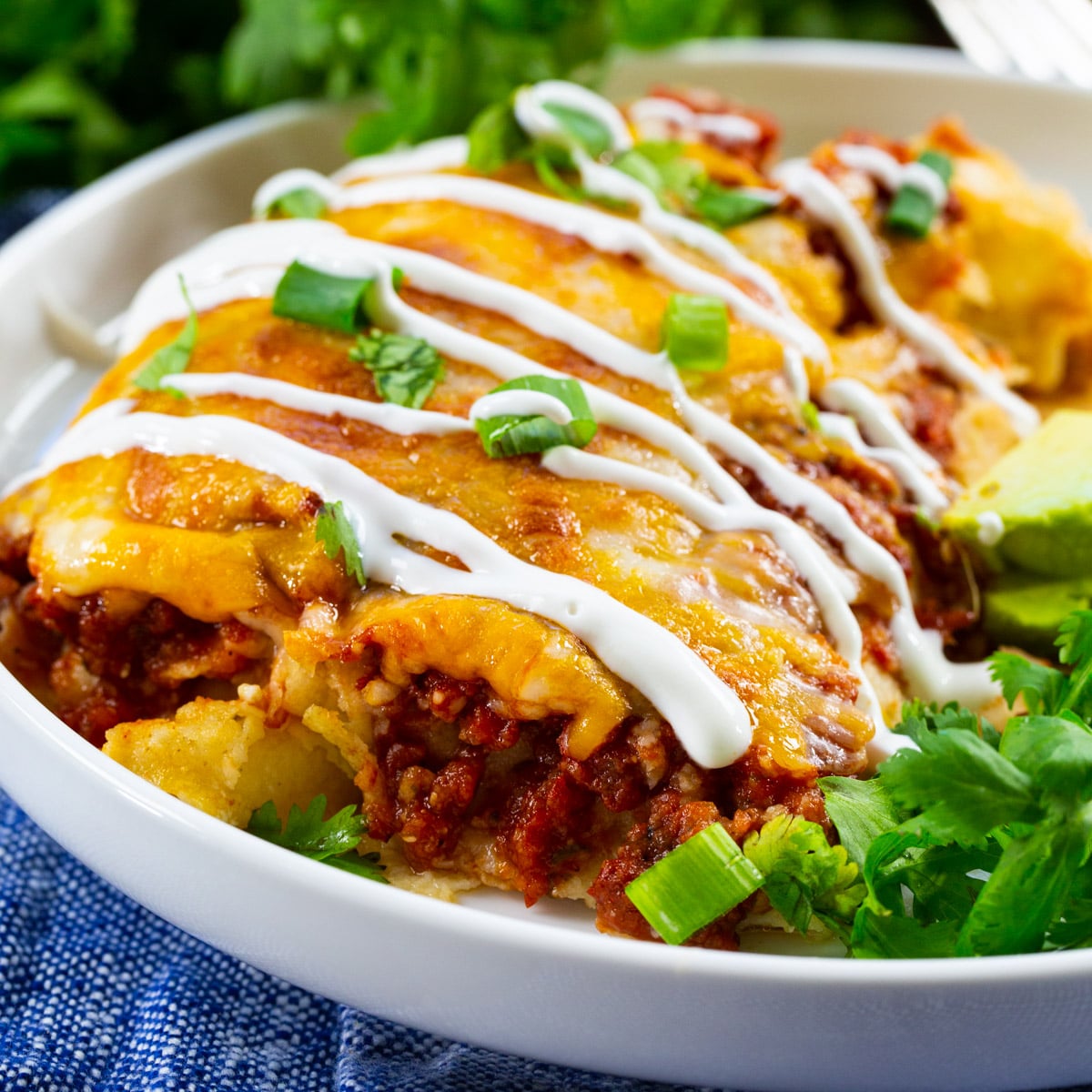 Chipotle Chicken Enchiladas on a plate with fresh cilantro.