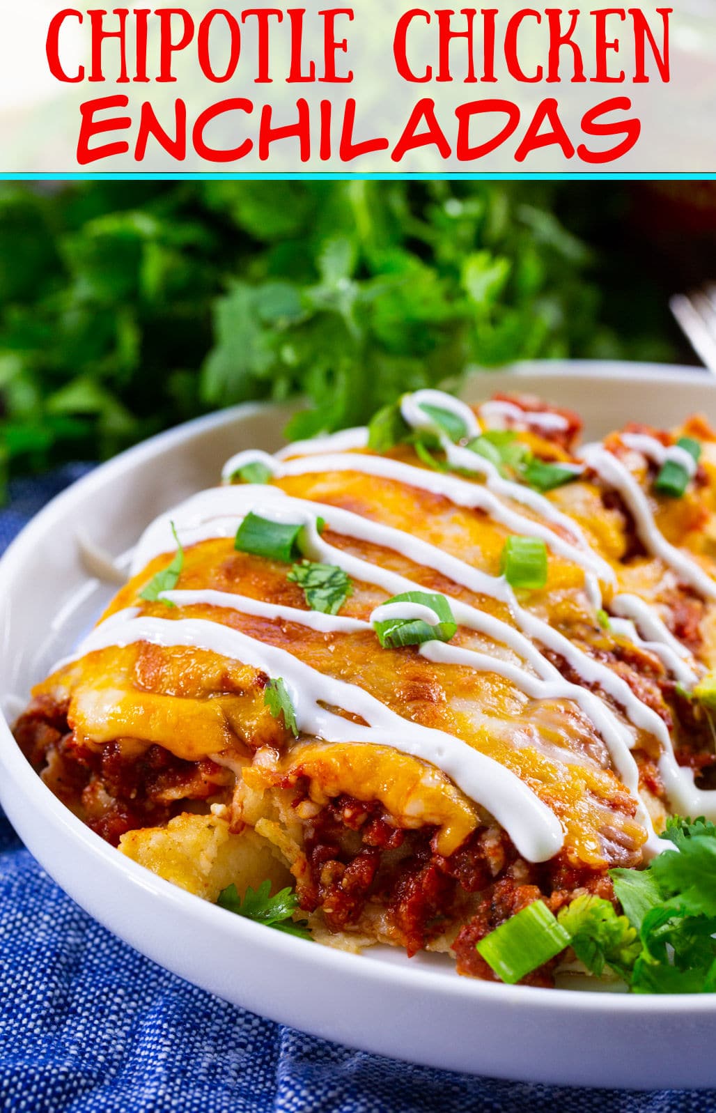 Chipotle Chicken Enchiladas on a plate.