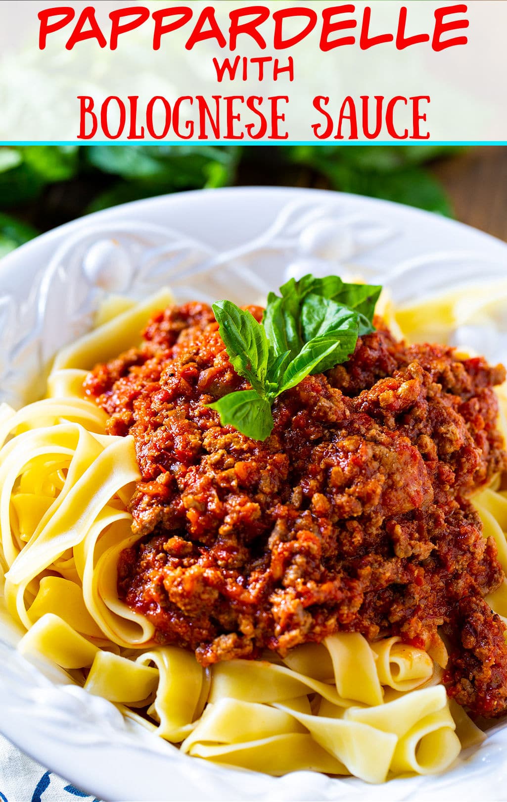 Pappardelle with Bolognese Sauce in a pasta bowl.