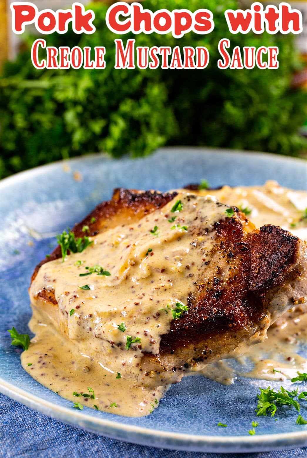 Pork Chops with Creole Mustard Sauce on a plate.