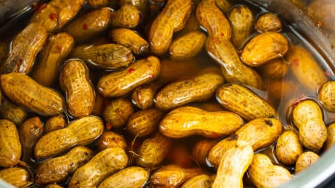 Instant Pot Spicy Boiled Peanuts