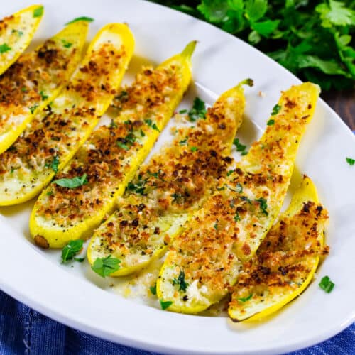 Panko Parmesan Squash Planks - Spicy Southern Kitchen