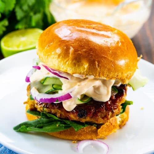 Teriyaki Chicken Burgers - Spicy Southern Kitchen