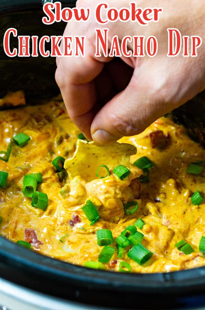 Slow Cooker Chicken Nacho Dip - Spicy Southern Kitchen