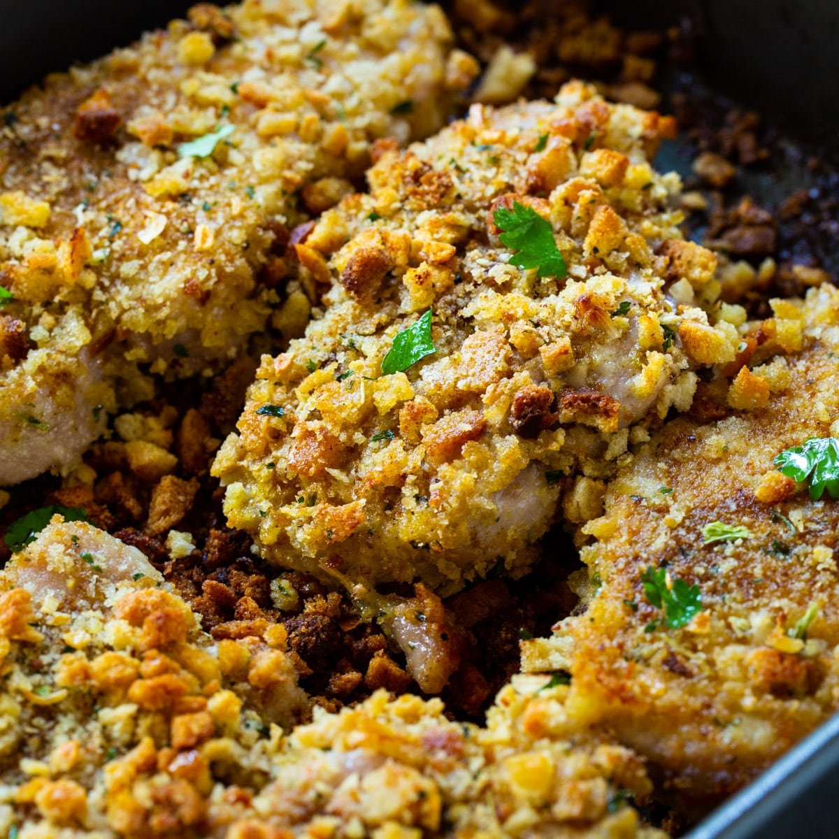 Stuffing Coated Pork Chops in baking dish.