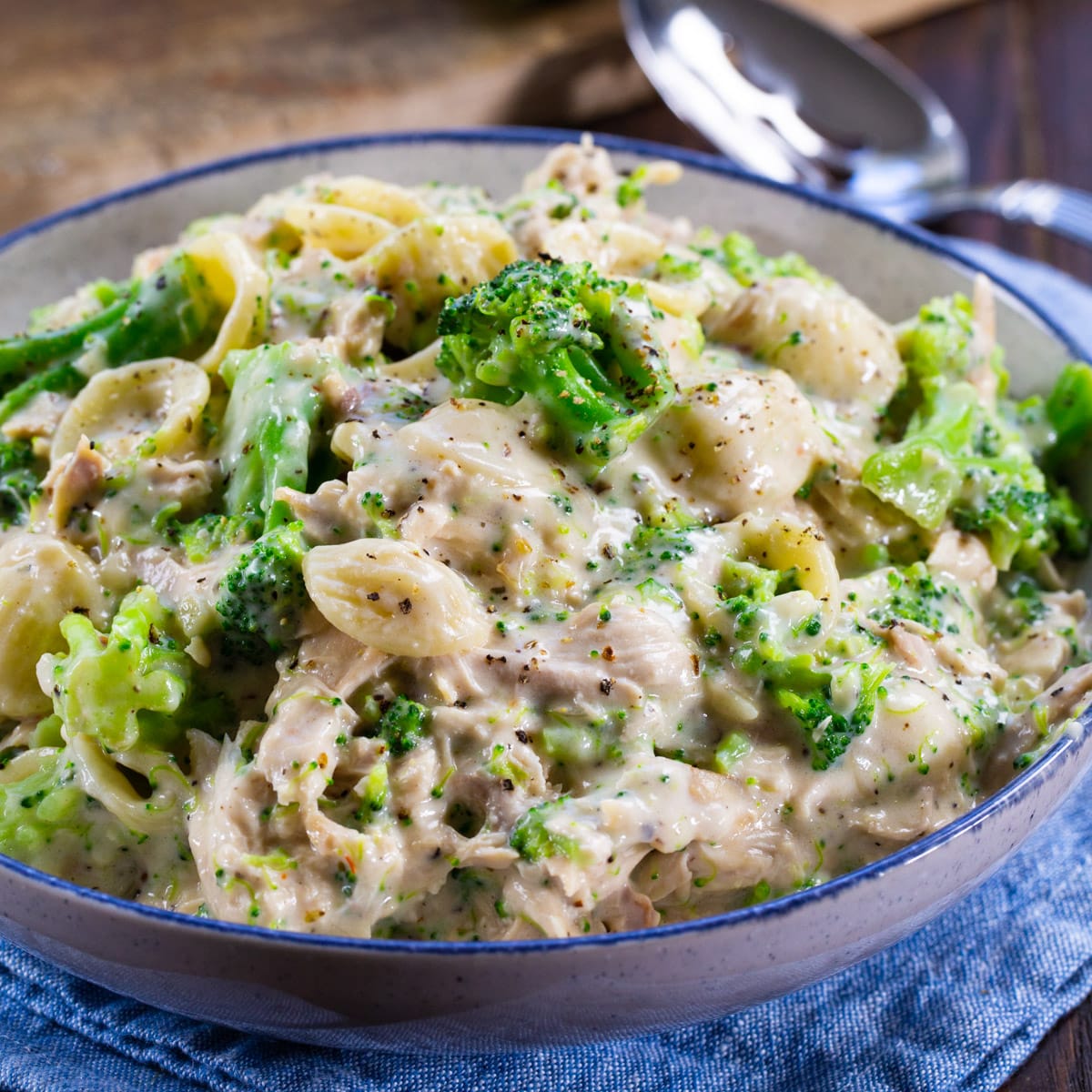 Turkey Broccoli Alfredo in a bowl.