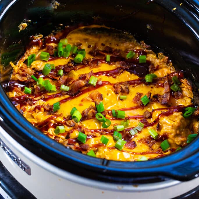 Slow Cooker BBQ Chicken Dip - Spicy Southern Kitchen