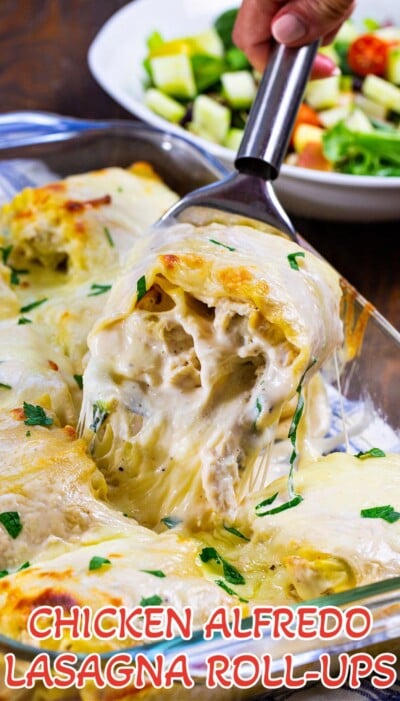 Chicken Alfredo Lasagna Roll-Ups - Spicy Southern Kitchen