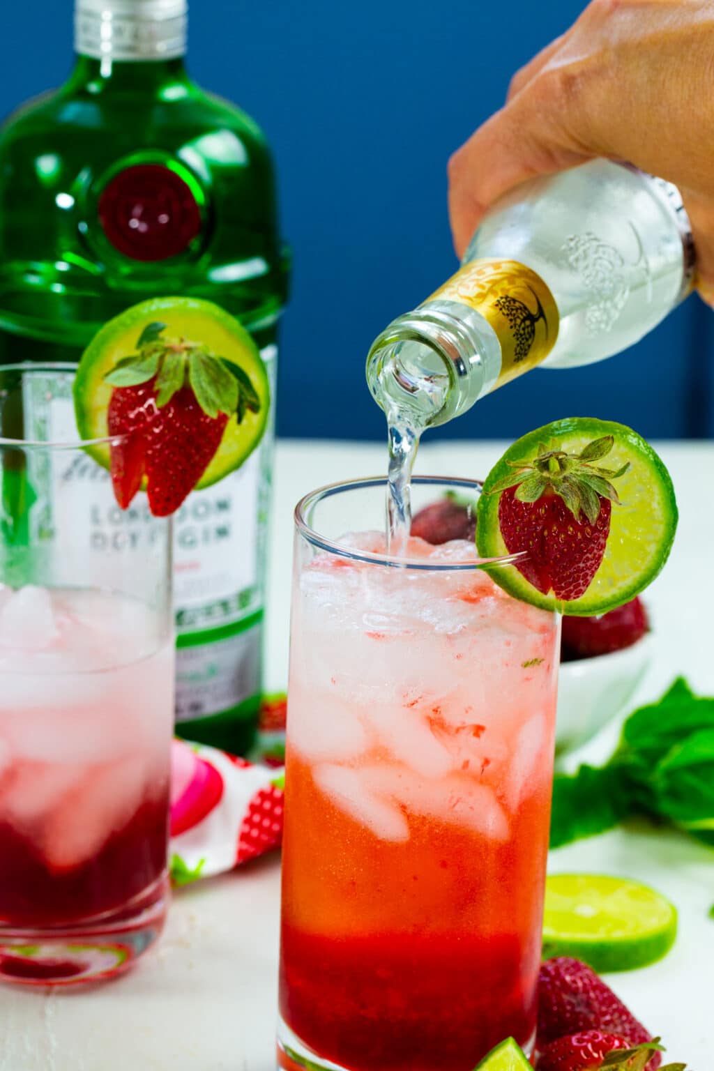 Strawberry Gin And Tonic - Spicy Southern Kitchen