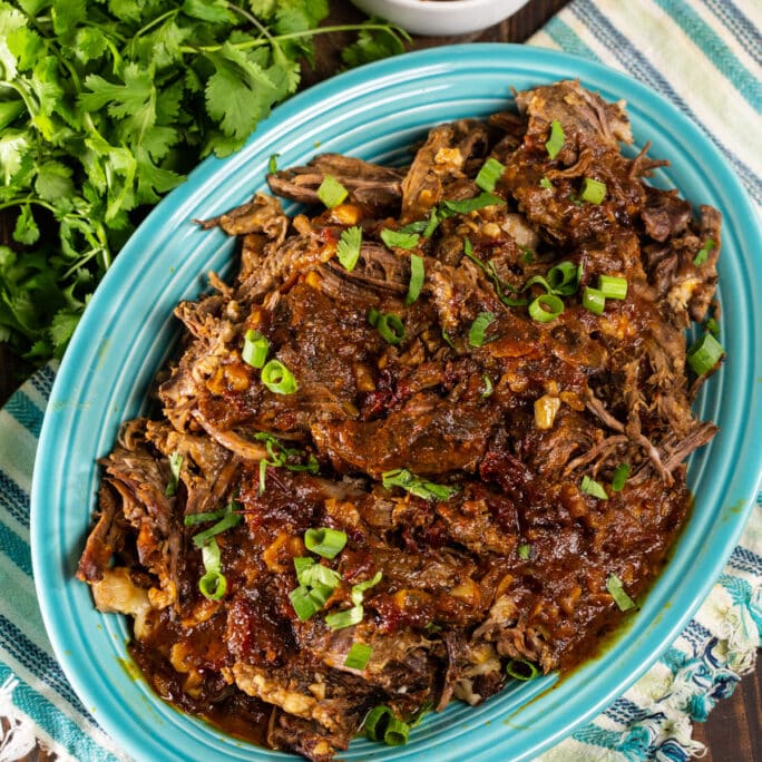 Chipotle Beef for Tacos - Spicy Southern Kitchen