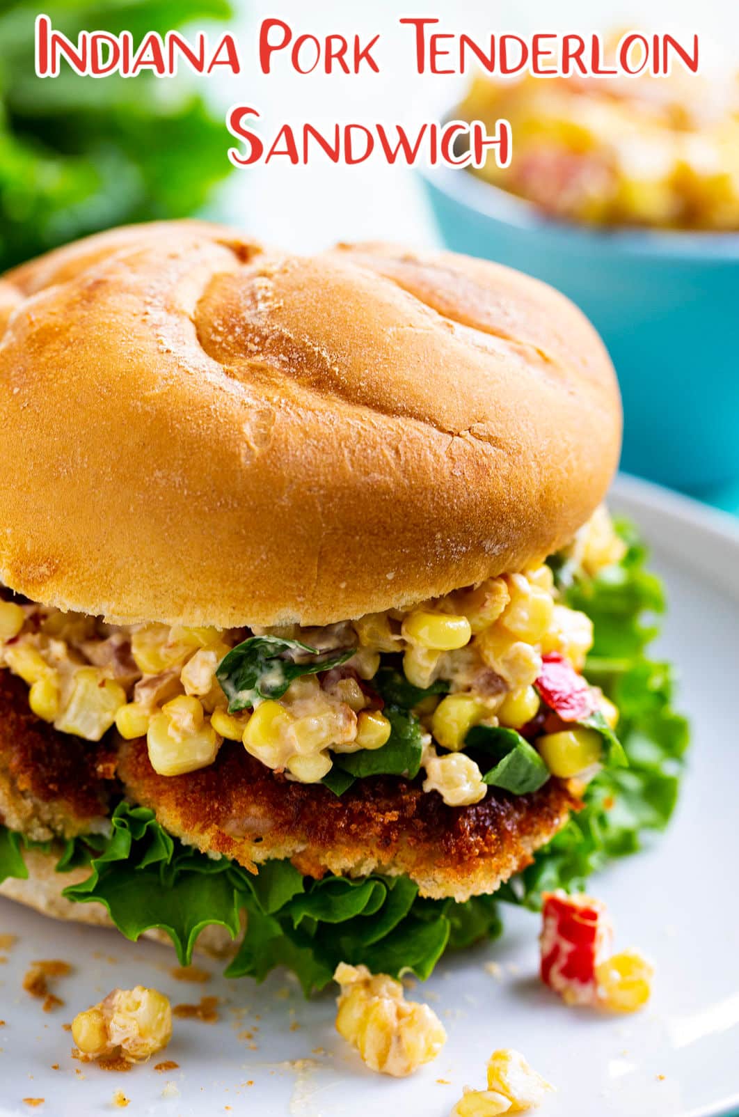 Indiana Pork Tenderloin Sandwich on a plate.