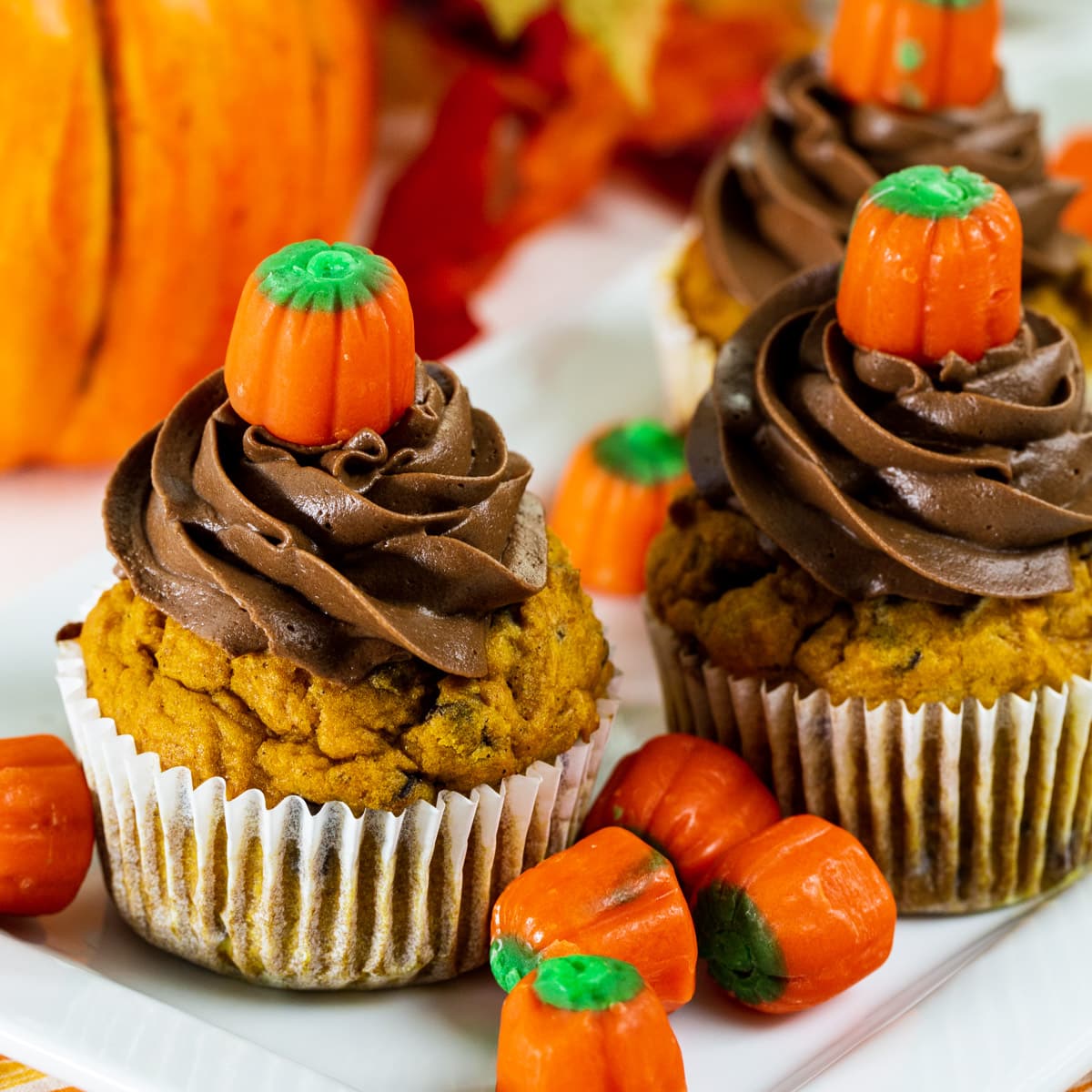 Pumpkin Chocolate Chip Cupcakes with Chocolate Frosting surrounded by candy corn pumpkins.