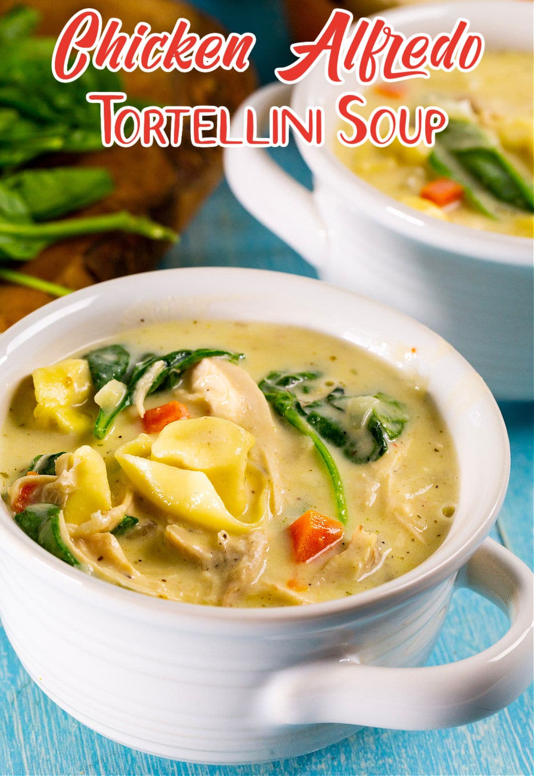 Chicken Alfredo Tortellini Soup in a soup bowl.