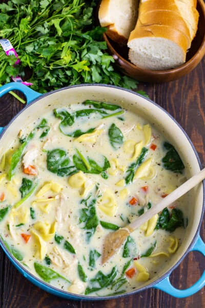 Chicken Alfredo Tortellini Soup - Spicy Southern Kitchen