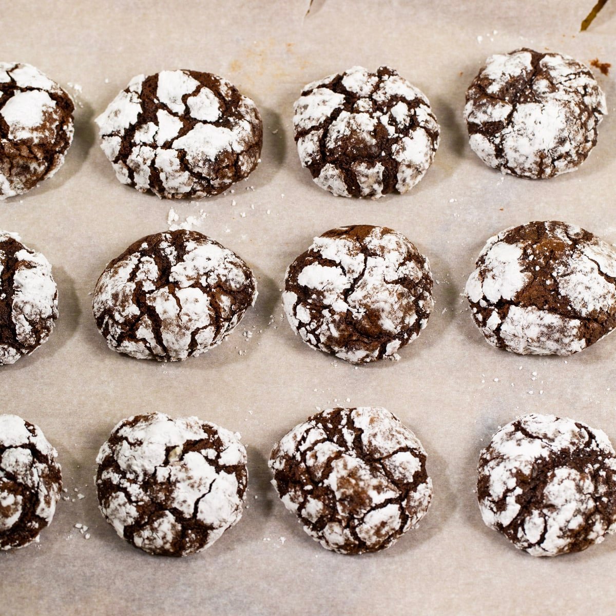 Chocolate Peppermint Crinkle Cookies – Spicy Southern Kitchen