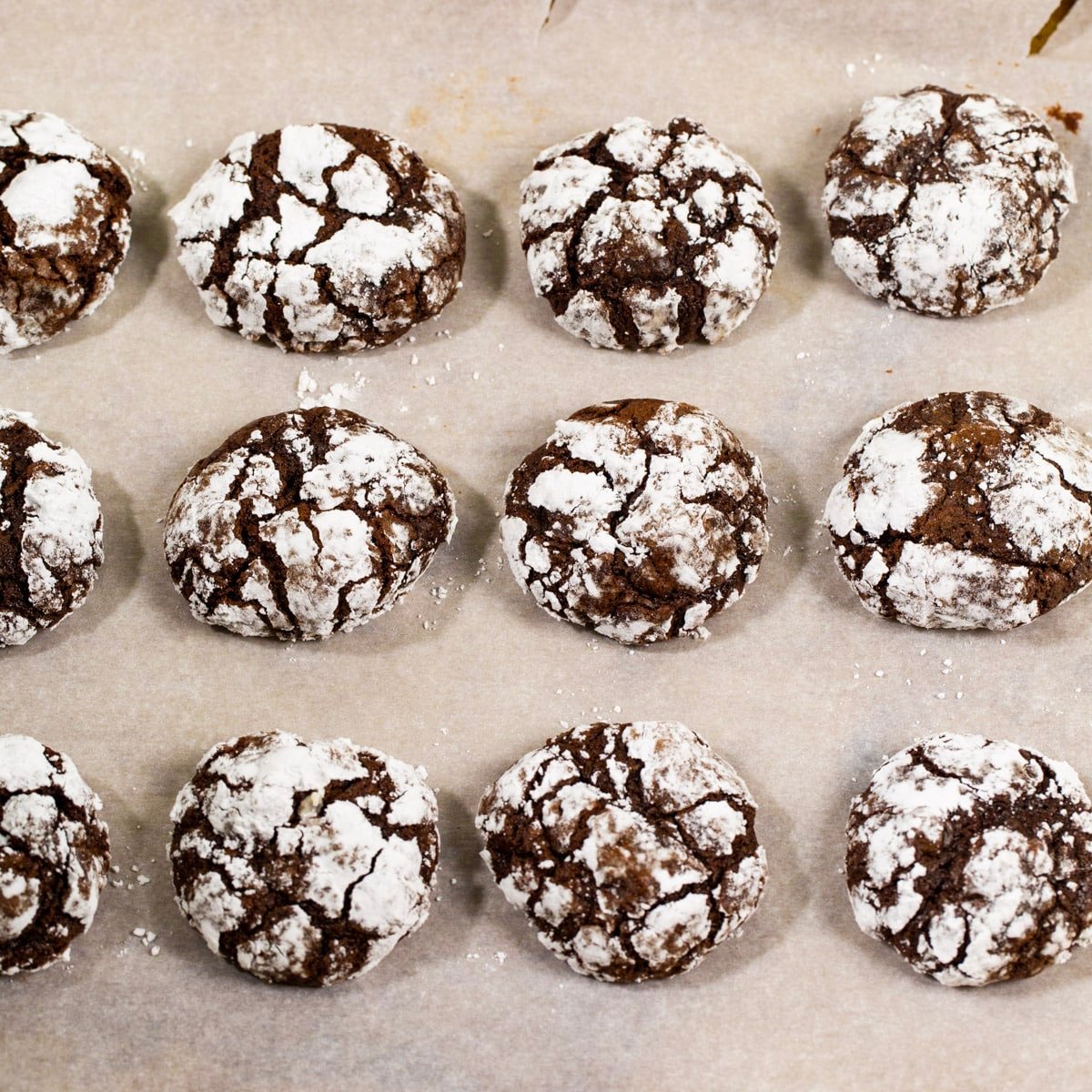 Chocolate Peppermint Crinkle Cookies Spicy Southern Kitchen