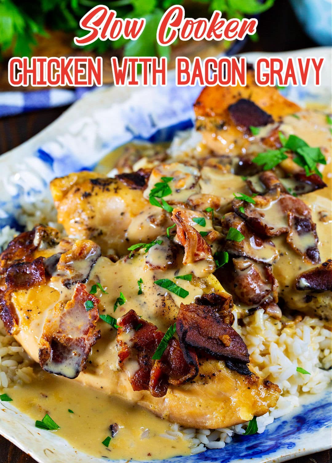 Slow Cooker Chicken with Bacon Gravy over white rice.