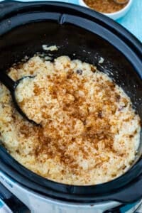 Slow Cooker Rice Pudding - Spicy Southern Kitchen