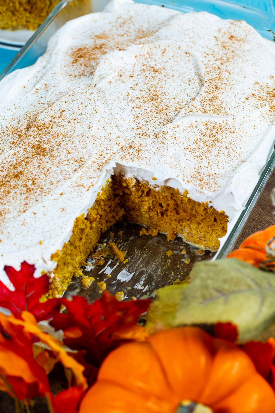 Cake in baking dish.