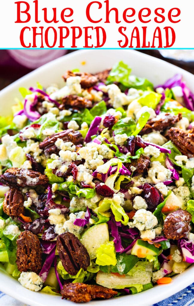 Blue Cheese Chopped Salad with Craisins and Candied Pecans - Spicy ...