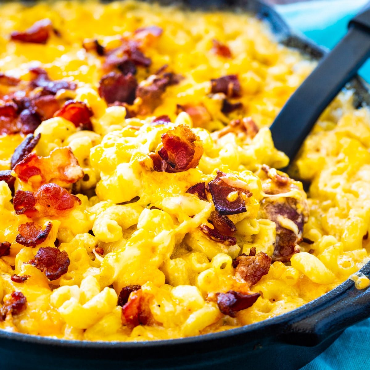 Featured image of post Steps to Prepare Bacon Mac And Cheese Recipe Easy