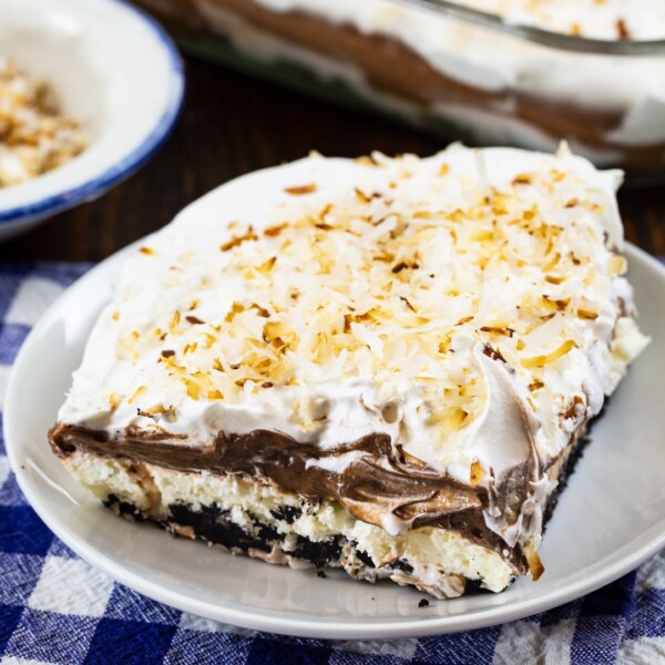 Slice of Chocolate Coconut Lush on a plate.