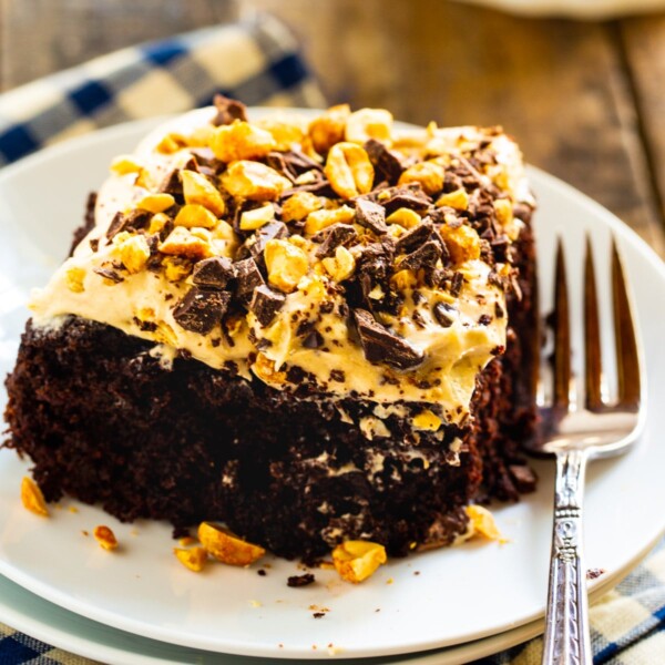 Slice of Chocolate-Peanut Butter Fun Cake on plate.