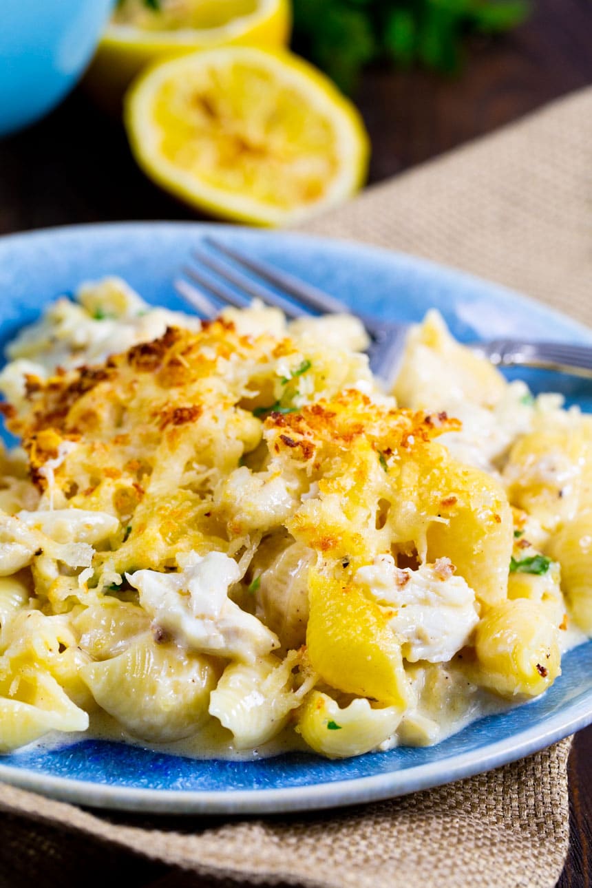 Alfredo Shells on a blue plate.