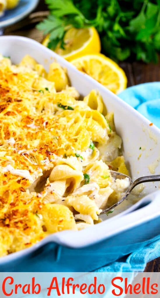 Crab Alfredo Shells Spicy Southern Kitchen