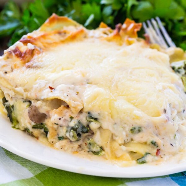 Creamy Chicken Lasagna