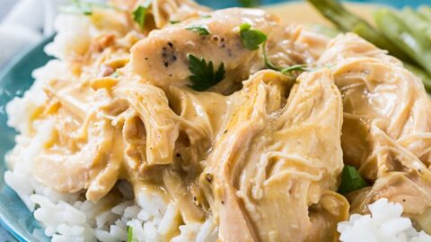 Crock Pot Chicken and Gravy