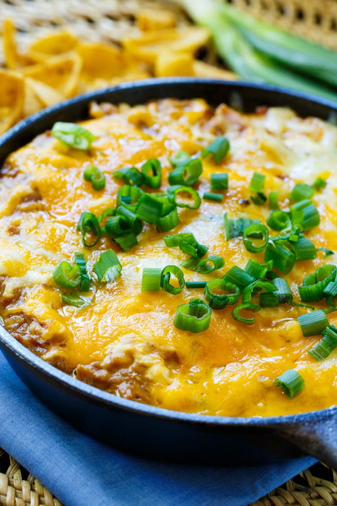 Cheesy BBQ Pork Dip