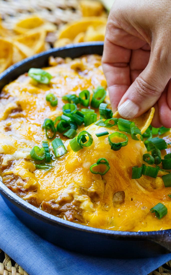 Cheesy BBQ Pork Dip