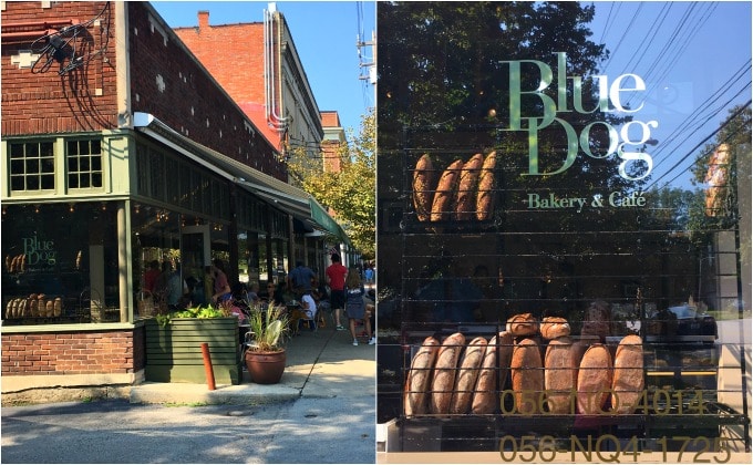 Blue Dog Bakery on Franklin Ave in Louisville