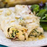 Manicotti with Creamed Chicken on a plate with salad.