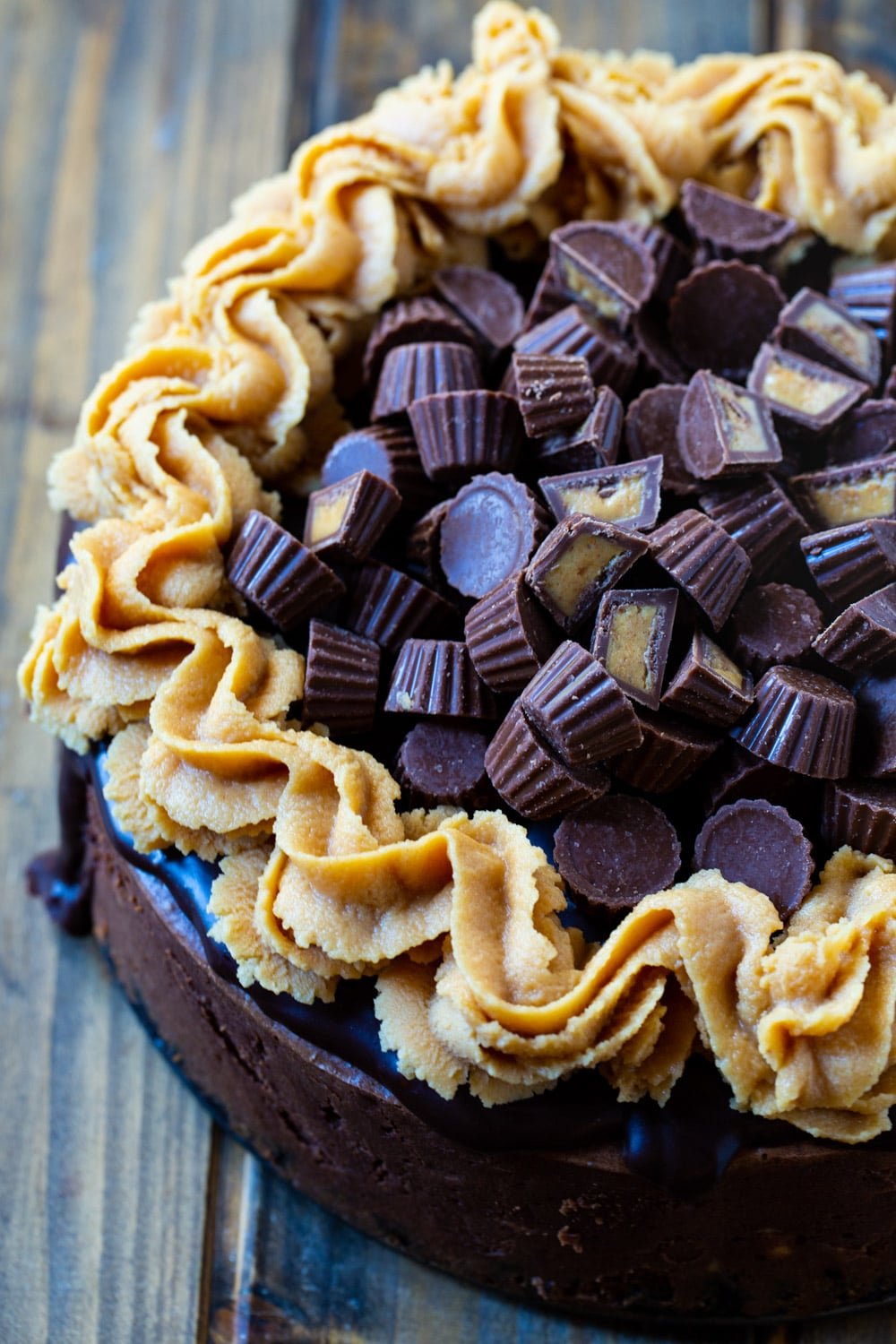 Whole, uncut Chocolate Peanut Butter Cup Cheesecake.