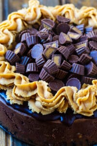 Whole Chocolate Peanut Butter Cup Cheesecake covered with mini peanut butter cups.