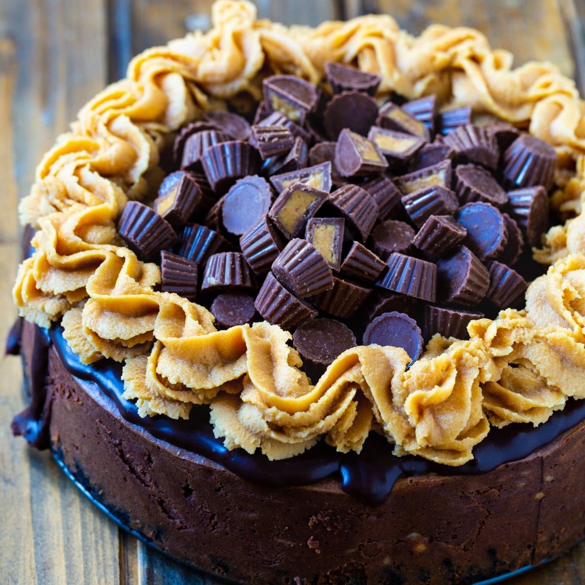 Whole Chocolate Peanut Butter Cup Cheesecake covered with mini peanut butter cups.